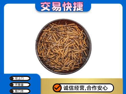 广安礼品回收虫草.jpg
